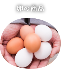 卵の商品