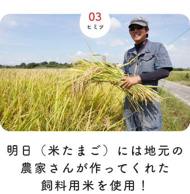 明日（米たまご）には地元の農家さんが作ってくれた飼料用米を使用！